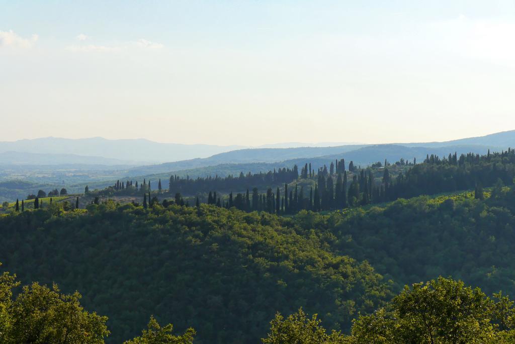 Il Crinale Villa Subbiano Habitación foto